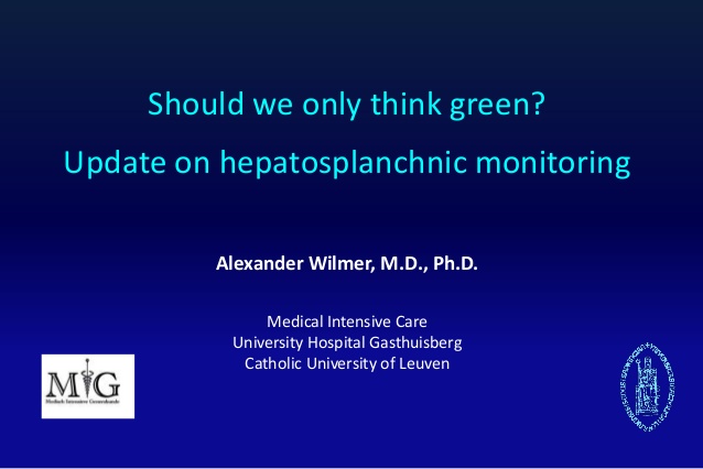 Alexander Wilmer - Update on hepatosplanchnic monitoring - IFAD 2012