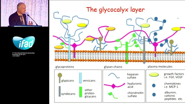 Is hypervolemia so bad - in the operating room