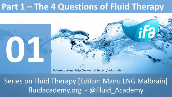The four questions of fluid therapy