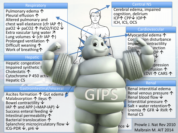 Global Increased Permeability Syndrome (#ISICEM18 #IFAD2018)